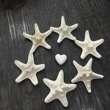 10/50/100/200 قطعة نجوم البحر الصغيرة الطبيعية، زخرفة بحرية لحفلات الزفاف والديكور، قذائف صغيرة لملء الأواني والمشاريع اليدوية، مناسبة لصنع المجوهرات وديكور حوض السمك والحمام والشموع وديكورات الحفلات والهدايا المميزة لأعياد الميلاد والتخرج، بحجم 0.4 إلى 1 بوصة - متعدد الألوان - مشاهدة 11