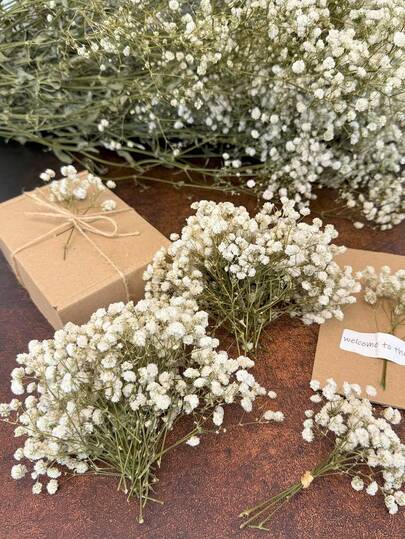 20/50/100/150/300 st Mini Gypsophila och andra torkade blommor - För hartsform, konst och hantverk, elfenbensvit bukett för håraccessoarer, bröllopskransar, bordsdekoration, heminredning