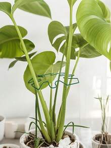 耐用的龟背竹稳定器和支撑系统 - 带竹制握把套件的金属攀爬植物训练器，是植物健康生长的理想选择，安全且装饰性的花园支撑，植物支撑结构|攀爬植物支撑|金属稳定器