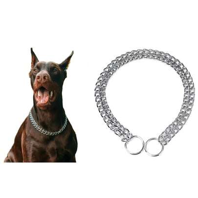Enforcador Coleira Corrente Para Cães Cachorro Pequeno Médio e Grande Bulldog Pitbull