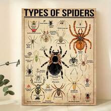 1 Pieza Póster de Lienzo, Tipo de Póster de Araña, Tipo de Póster de Animal, Póster de Ilustración de Araña, Arte de Pared para Sala de Estar, Decoración de Pared de Dormitorio, Decoración de Habitación, Sin Marco - transparente - Ver 8