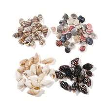 [740/1000 Piezas] Juego de artesanía de mini conchas y estrellas de mar - [Consulte las imágenes del SKU para confirmar el producto que compra] Adecuado para manualidades, joyería DIY, figuras de animales, marcos, decoración del hogar, fiesta con tema de playa, decoración de bodas, relleno de acuarios y jarrones, etc. - Multicolor - Ver 6