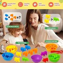 Montessori contar juguetes dinosaurio modelos variados educativos para niños aprendizaje matemático divertido colores vivos piezas seguras estimulan creatividad refuerzo escolar excelente regalo para desarrollo infantil juguetes didácticos modernos - Dinosaurio - Ver 3