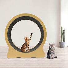 Cat Wheel Cat Exercise Wheel Cat Exercise Wheel For Indoor Cats - Camel - View 11