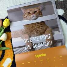 2026 Cat Lovers Calendar, 2026 Bath Cat Wall Calendar, Funny Desktop Calendar For Office, Home Decor, Secret Santa Claus Gifts - Cat - View 8