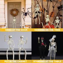 Human Body Skeleton 40 Cm Skull Party And Halloween Decoration - Nhiều màu - Xem 6