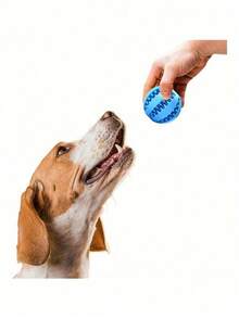 1/2个装防咬狗零食球分配器 - 益智喂食器，缓解狗狗无聊，适合幼犬出牙期和脑力训练，爱狗人士的理想之选