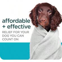 Guardian Flea Tick Dog Shampoo, Clean Cotton Scent, 18 Oz. - 最初的 - 查看 4