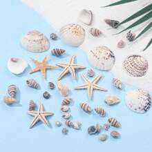 [740/1000 Piezas] Juego de artesanía de mini conchas y estrellas de mar - [Consulte las imágenes del SKU para confirmar el producto que compra] Adecuado para manualidades, joyería DIY, figuras de animales, marcos, decoración del hogar, fiesta con tema de playa, decoración de bodas, relleno de acuarios y jarrones, etc. - Multicolor - Ver 8