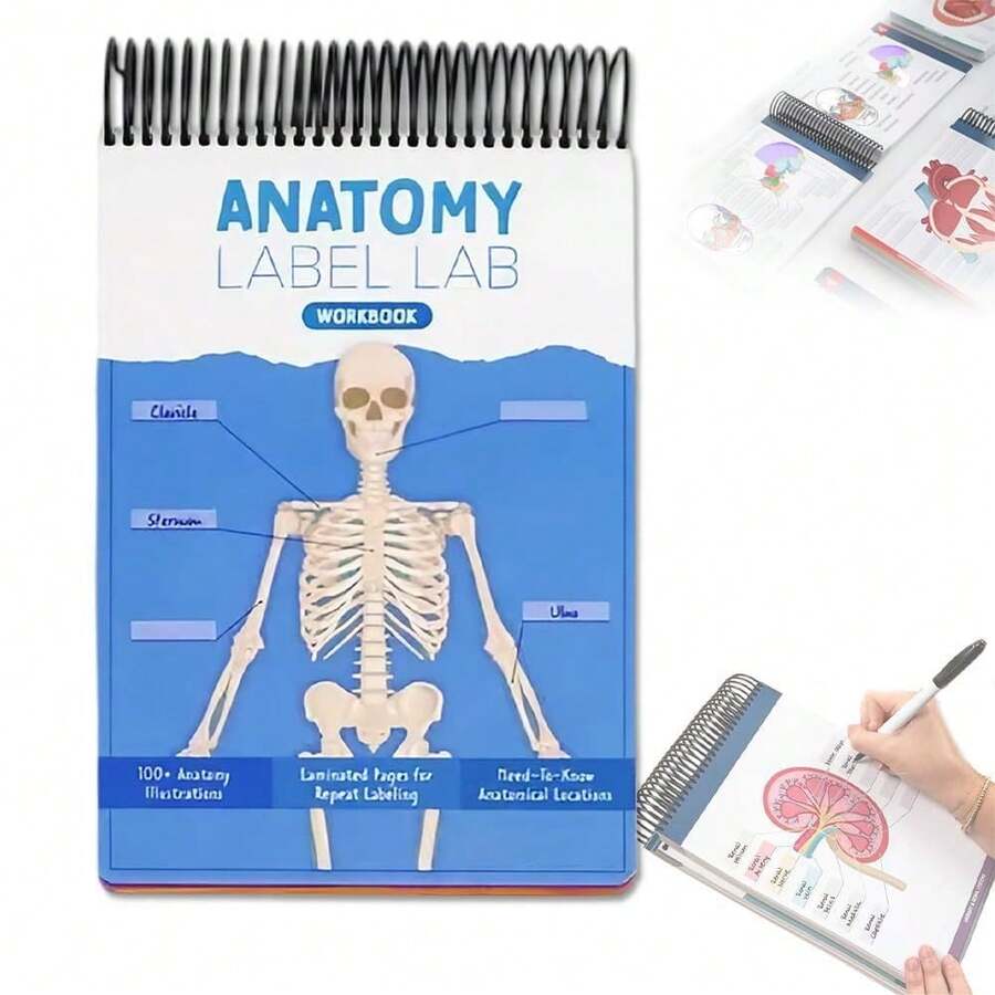 1pc-anatomy-labelled-lab-workbook-100-full-color-stem-alumni-pages