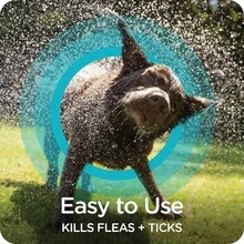 Guardian Flea Tick Dog Shampoo, Clean Cotton Scent, 18 Oz. - 最初的 - 查看 6