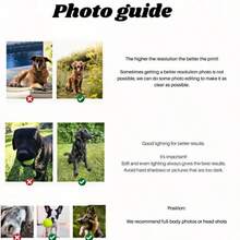 1pc Customized Pet Throw Pillow, Personalized Dog/Cat Cushion, Soft Plush Large Pillow, Colorful Home Decor, Unique Pet Memorial Gift, Suitable For Christmas, Thanksgiving, Halloween And Special Occasions - Multicolor - View 5