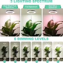 植物生长灯，72颗LED全光谱植物生长灯，适用于室内植物，高度可调，带自动开关，3小时/9小时/12小时定时，4档亮度可调，非常适合大型植物。