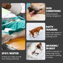 狗狗手术恢复服，狗狗绝育恢复服，柔软的雌性和雄性宠物手术服，透气的宠物术后护理康复服 - 彩色 - 查看 7