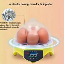 Farm Animal Coop - 查看 2