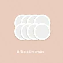 Kazoos Musical Instruments, Metal Kazoos Flute Gift Party Favor Bag Fillers Christmas Gift