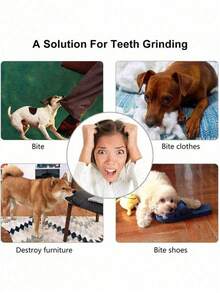 1/2个装防咬狗零食球分配器 - 益智喂食器，缓解狗狗无聊，适合幼犬出牙期和脑力训练，爱狗人士的理想之选