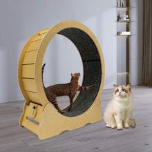 Cat Wheel Cat Exercise Wheel Cat Exercise Wheel For Indoor Cats - Camel - View 10