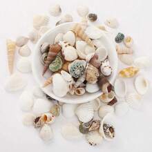 [740/1000 Piezas] Juego de artesanía de mini conchas y estrellas de mar - [Consulte las imágenes del SKU para confirmar el producto que compra] Adecuado para manualidades, joyería DIY, figuras de animales, marcos, decoración del hogar, fiesta con tema de playa, decoración de bodas, relleno de acuarios y jarrones, etc. - Multicolor - Ver 10