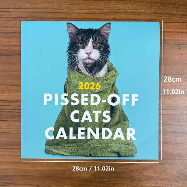 2026 Cat Lovers Calendar, 2026 Bath Cat Wall Calendar, Funny Desktop Calendar For Office, Home Decor, Secret Santa Claus Gifts