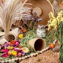 50g Mixed Dried Flowers For Hamster Bedding For /Dwarf Hamsters & Gerbils | Lab-Certified Dust-Free, 5X Absorbency Plant Fiber | For Rabbits & Chinchillas