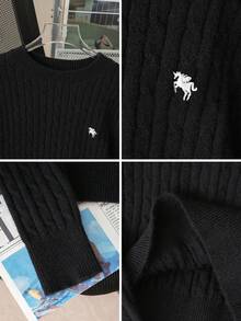 Korean Style Elegant Textured Crew Neck Sweater For Women, Long Sleeve Embroidered Pullover - Black - View 8