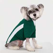 2-Legged Pullover Sweatshirt With Contrast Raglan Sleeves For Small/Medium Dogs & Cats, Soft & Comfortable, Suitable For Spring/Autumn - Green - View 8