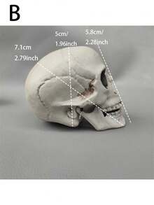 1pc Life-Size Resin Skeleton Decoration, Halloween Table Decor, Wedding Decor, Birthday Party Decoration, Realistic Adult Skull Model, Gothic Halloween Room Decor, Smiling Face - Multicolor - View 14