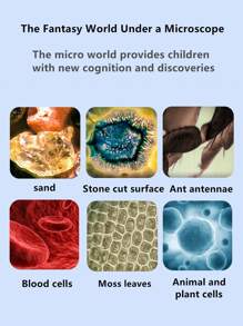 儿童便携式手持显微镜：LED 灯，60X-120X 变焦，适合小学生的教育光学科学实验玩具、科学、显微镜、儿童便携式显微镜 - 彩色 - 查看 5