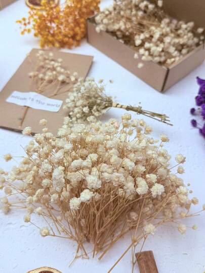 25/50/100/300 piezas Flores secas mini y otras flores secas - Adecuadas para moldes de resina artesanales, ramo blanco marfil, se pueden usar para accesorios para el cabello, coronas de boda, jarrones de escritorio, decoración del hogar