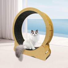 Cat Wheel Cat Exercise Wheel Cat Exercise Wheel For Indoor Cats - Camel - View 8