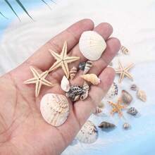 [740/1000 Piezas] Juego de artesanía de mini conchas y estrellas de mar - [Consulte las imágenes del SKU para confirmar el producto que compra] Adecuado para manualidades, joyería DIY, figuras de animales, marcos, decoración del hogar, fiesta con tema de playa, decoración de bodas, relleno de acuarios y jarrones, etc. - Multicolor - Ver 3