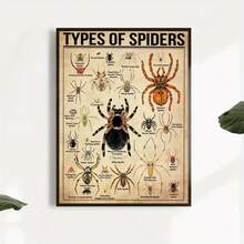 1 Pieza Póster de Lienzo, Tipo de Póster de Araña, Tipo de Póster de Animal, Póster de Ilustración de Araña, Arte de Pared para Sala de Estar, Decoración de Pared de Dormitorio, Decoración de Habitación, Sin Marco - transparente - Ver 5