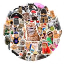 66 pegatinas de gato caprichosas, resistentes al agua, de varios tamaños y formas - perfectas para decoración DIY en teléfonos, portátiles, patinetas y cascos, accesorios de gato