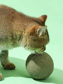 1 个巨型猫球，自玩猫玩具，供猫咪咀嚼、抓挠、娱乐