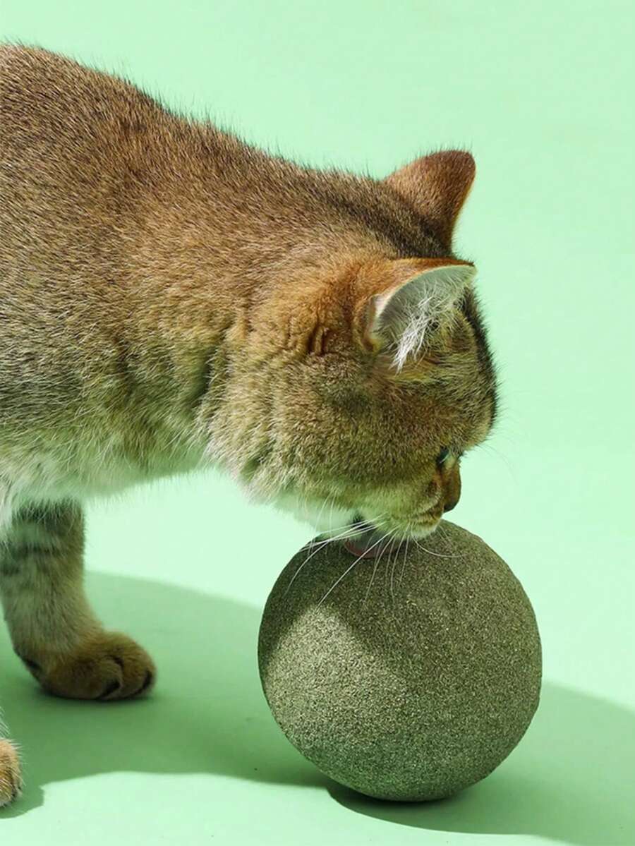 1 个巨型猫球，自玩猫玩具，供猫咪咀嚼、抓挠、娱乐