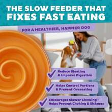 Outward Hound Fun Feeder Slo Bowl, Small Slow Feeder Dog Bowl, 3_4 Cups, Mini, Mint