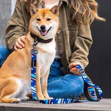 Lesă pentru câini Furmylove, lesă pentru animale de companie, mâner moale și ușor, încuietoare metalică, mâner micro-elastic anti-șoc, lesă durabilă din nailon pentru câini, lesă la modă de 150 cm/60 in, model abstract, potrivită pentru câini de talie medie și mare, activități în aer liber, plimbări, accesorii pentru animale de companie