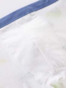 4pcs/Pack Young Boy Cartoon Dinosaur Print Boxer Briefs, All Season