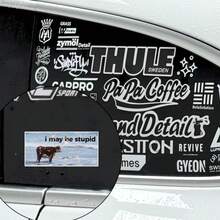 Engraçado "Eu Posso Ser Burro" Adesivo de Carro com Tema de Gasolina - Adesivo Humorístico para Para-Choque, Adequado para Carros, Caminhões, etc. | Material de Vinil À Prova d'Água | Presente Ideal para Motoristas, Entusiastas de Carros, Amantes de Viagens de Carro e Brincalhões - Multicolorido - Visão 8