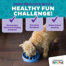 Outward Hound Fun Feeder Slo Bowl, Medium Slow Feeder Dog Bowl, 2 Cups, Blue (Pack Of 12) - ColorA - 查看 6