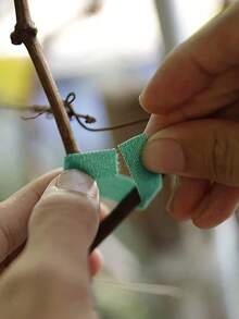 1 卷花园钩环带、植物钩环带、花园阳台护理美容植物胶带尼龙植物捆绑带、装饰性植物形状包装胶带（带钩）适用于家庭园艺