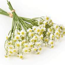 6/12/24 pièces Fleurs de marguerite artificielles, camomille et tournesol élégants, fausses marguerites de 10 pouces pour décoration de vase, centre de table extérieur, DIY, fête à la maison, décoration de mariage de fleurs sauvages printanières (blanc) Camomille, accessoires photo, bouquet floral, décoration de scène (sans contenant)