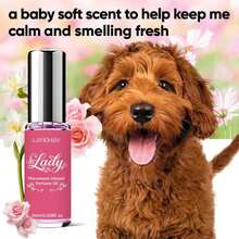 10ml Tiergeruchsentferner Spray, fertig zur Verwendung Haustier-Deodorant für starke Geruchsbeseitigung von Sekreten, Sprays, Fäkalien und Urin, nicht enzymatischer Hunde- und Katzen-Deodorant