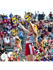 2 件啦啦队手持绒球丝带，舞蹈表演道具，广场舞游戏道具，用于足球、篮球、足球和体育表演、团队运动、舞蹈和啦啦队道具