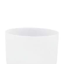 Cuenco tibetano de 8 pulgadas, cuenco tibetano para sanación sonora, cuenco tibetano de cristal - Blanco - Ver 5