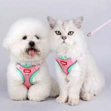 طقم سترة للمشي للخارج للقطط/الكلاب - سترة شبكية ناعمة قابلة للتنفس، مناسبة للكلاب الصغيرة، حزام حيواني قابل للتعديل وقابل للتنفس، للمشي في الخارج (مع سلسلة طول 1.5م)