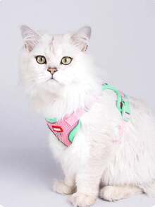 طقم سترة للمشي للخارج للقطط/الكلاب - سترة شبكية ناعمة قابلة للتنفس، مناسبة للكلاب الصغيرة، حزام حيواني قابل للتعديل وقابل للتنفس، للمشي في الخارج (مع سلسلة طول 1.5م)