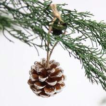 2pcs Christmas Dried Fruit Pendants Dried Flowers Pine Cones Orange Slices Cinnamon Rolls Shooting Props Christmas Pendant Decoration - Multicolor - View 7