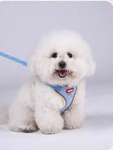 طقم سترة للمشي للخارج للقطط/الكلاب - سترة شبكية ناعمة قابلة للتنفس، مناسبة للكلاب الصغيرة، حزام حيواني قابل للتعديل وقابل للتنفس، للمشي في الخارج (مع سلسلة طول 1.5م)